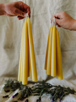 Beeswax Taper Candles 9"