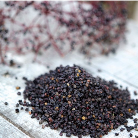 Elderberries, Wildcrafted